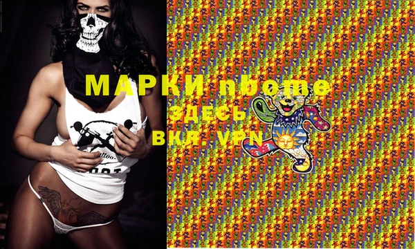 гашик Пестово