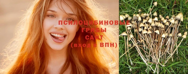 стафф Волосово