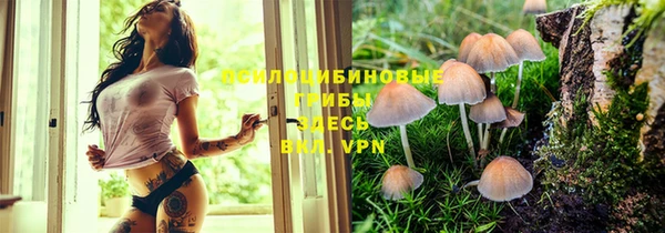 mdpv Волоколамск