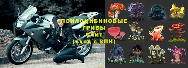 стафф Волосово