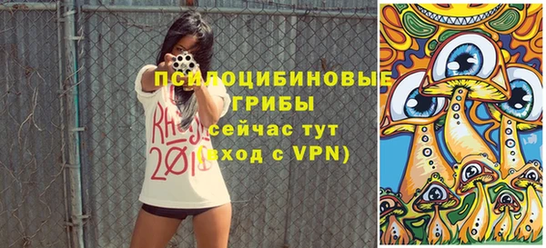 mdpv Волоколамск