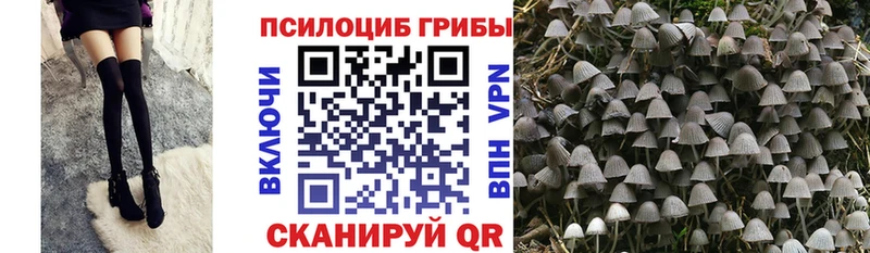 Галлюциногенные грибы GOLDEN TEACHER  Ахтырский 